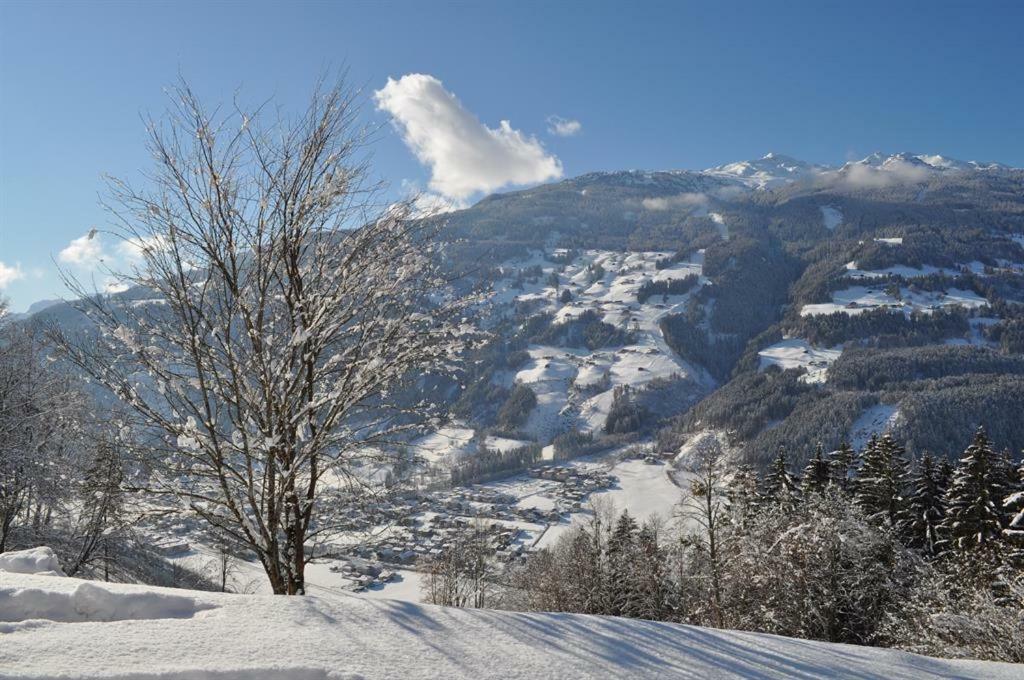 Schweinberger Sixtus Daire Aschau Im Zillertal Dış mekan fotoğraf