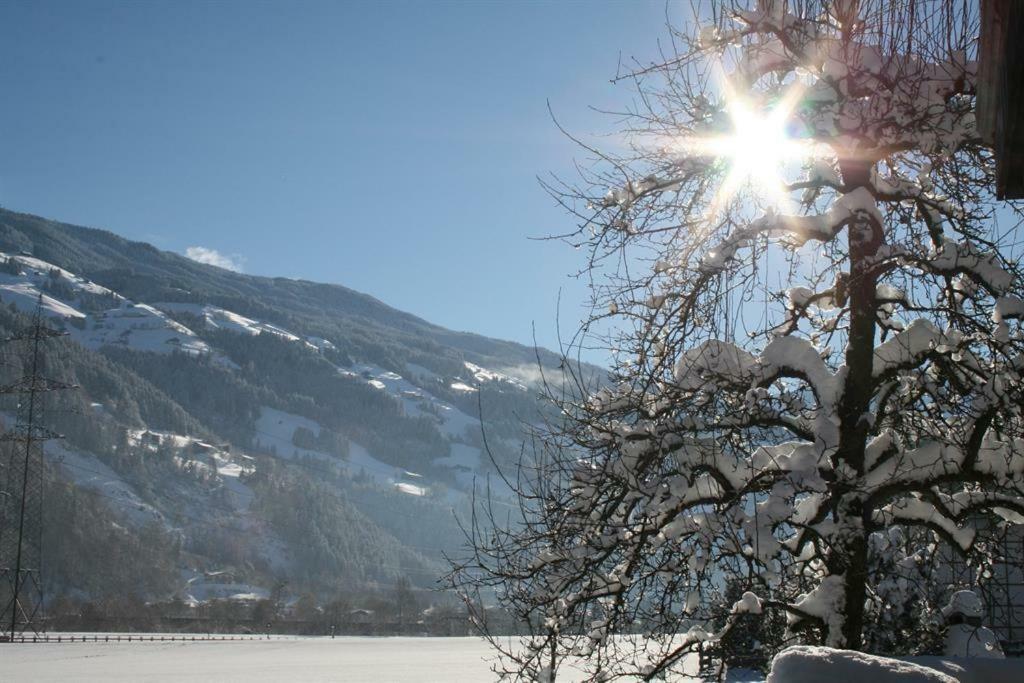Schweinberger Sixtus Daire Aschau Im Zillertal Dış mekan fotoğraf