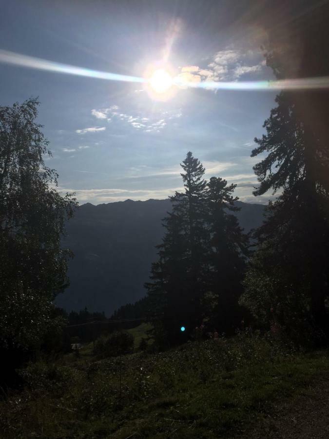 Schweinberger Sixtus Daire Aschau Im Zillertal Dış mekan fotoğraf